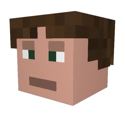 The_Wrecker Minecraft avatar head, 3D render