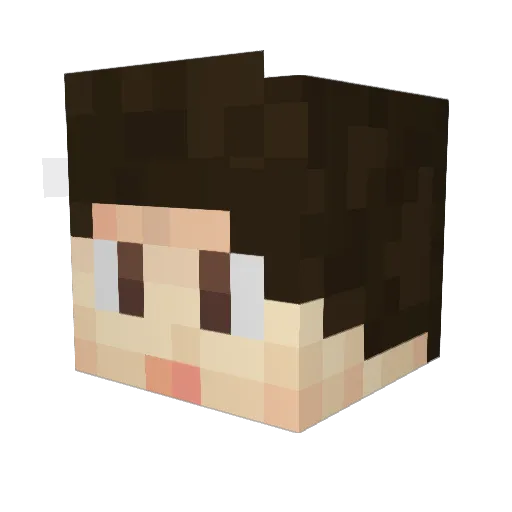 The__Basin Minecraft avatar head, 3D render
