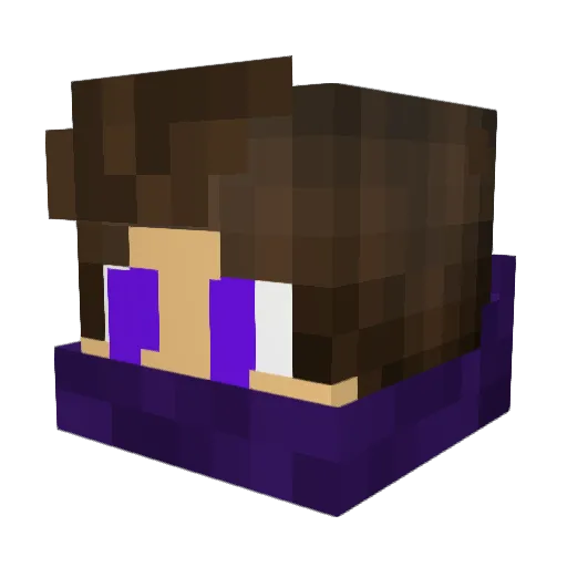 The__Rogue Minecraft avatar head, 3D render