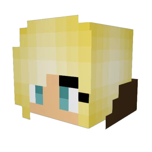 The__StarGazer Minecraft avatar head, 3D render