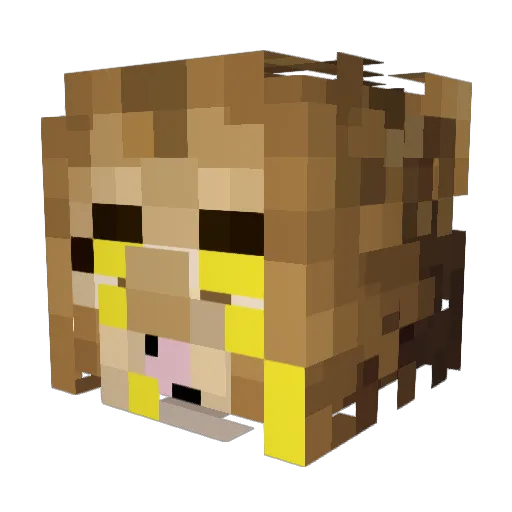 The_bin Minecraft avatar head, 3D render