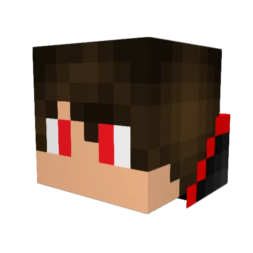 The_cocoloco Minecraft avatar head, 3D render