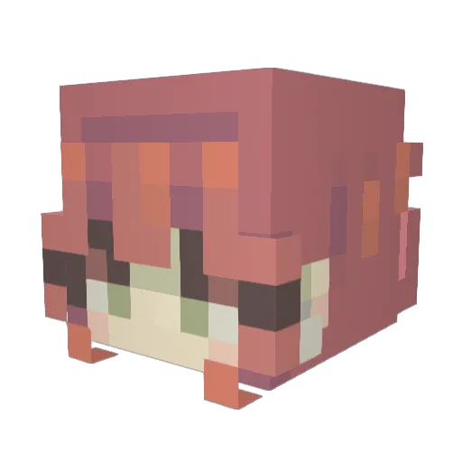 The_crazy_wolf66 Minecraft avatar head, 3D render
