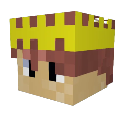The_emperos Minecraft avatar head, 3D render