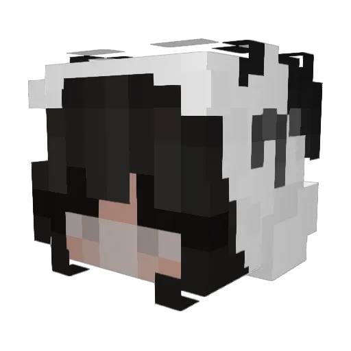 The_lost_nation Minecraft avatar head, 3D render