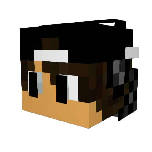 The_mon10 Minecraft avatar head, 3D render