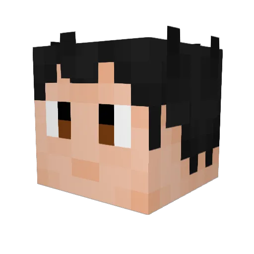 The_shanman Minecraft avatar head, 3D render