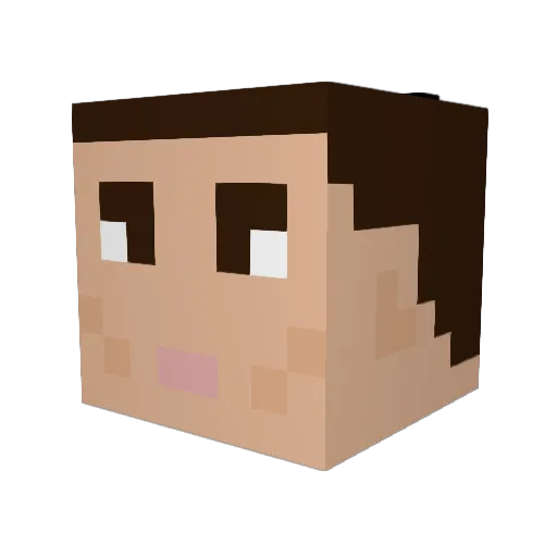 The_special_123 Minecraft avatar head, 3D render