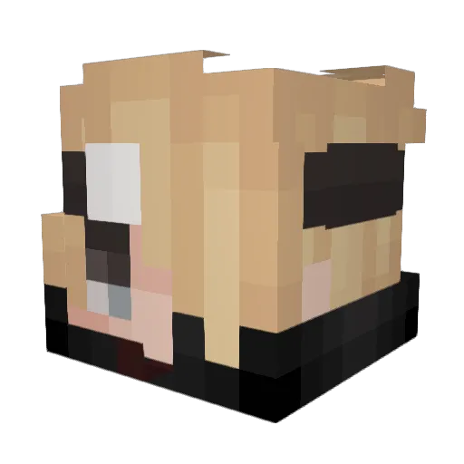 The_toji Minecraft avatar head, 3D render