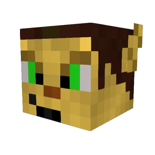Theanyelpes Minecraft avatar head, 3D render