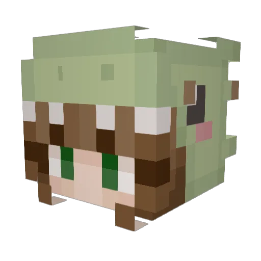 Theatrekid8 Minecraft avatar head, 3D render