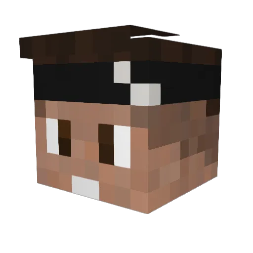Theawesomeboy10 Minecraft avatar head, 3D render