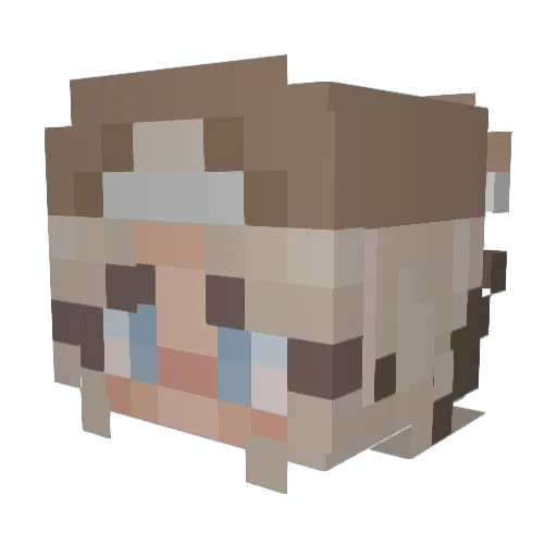 Theawesomec2012 Minecraft avatar head, 3D render