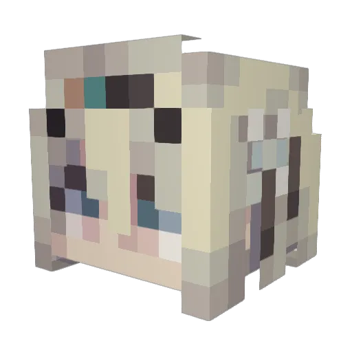 Thebakabaka Minecraft avatar head, 3D render