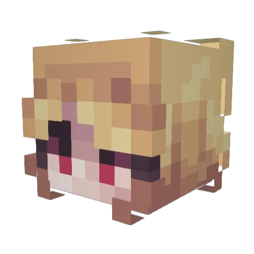 ThebaldTheNerd Minecraft avatar head, 3D render