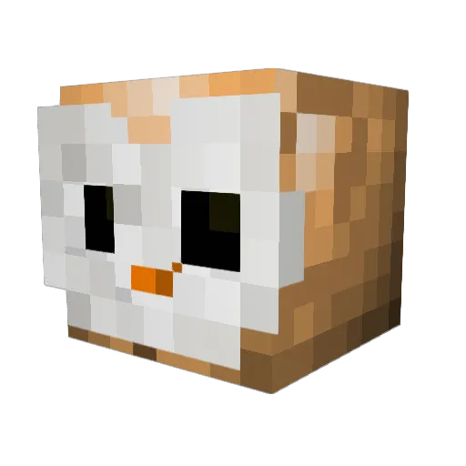 Thebarnouille Minecraft avatar head, 3D render