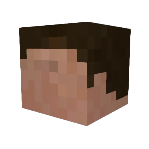 Thebeanskolk Minecraft avatar head, 3D render