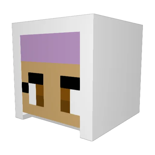 Thebey2 Minecraft avatar head, 3D render