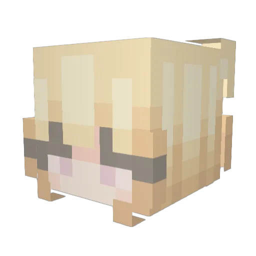 Theblockswiper Minecraft avatar head, 3D render