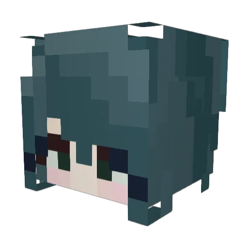 Thebluehoodyguy Minecraft avatar head, 3D render