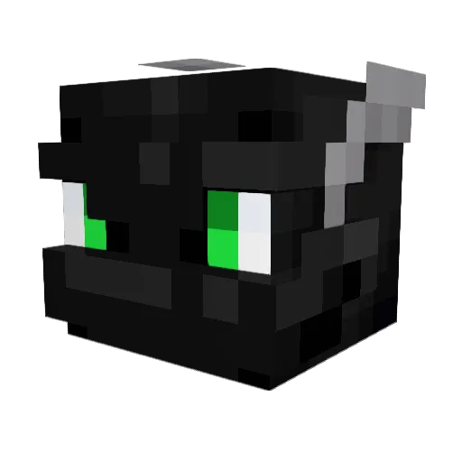 Thebtd123 Minecraft avatar head, 3D render