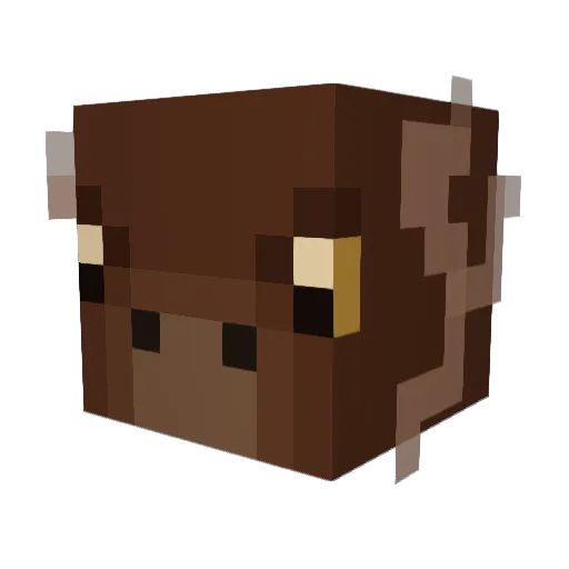Thebucketman96 Minecraft avatar head, 3D render