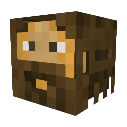 ThebumKiller Minecraft avatar head, 3D render