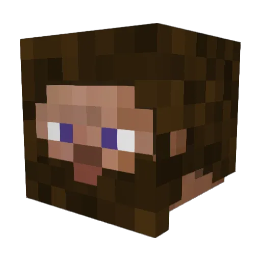 Thecampingkid Minecraft avatar head, 3D render