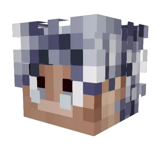 Thecjclan1 Minecraft avatar head, 3D render