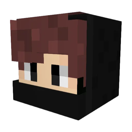 Thecomet14 Minecraft avatar head, 3D render