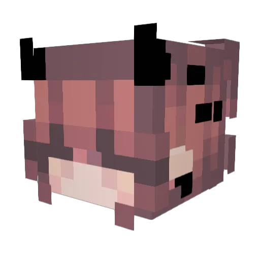Thed_Onkel9348 Minecraft avatar head, 3D render