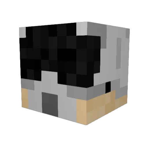 Thedoc_tv Minecraft avatar head, 3D render