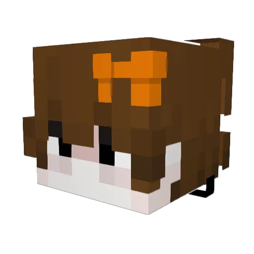 Thedon007 Minecraft avatar head, 3D render