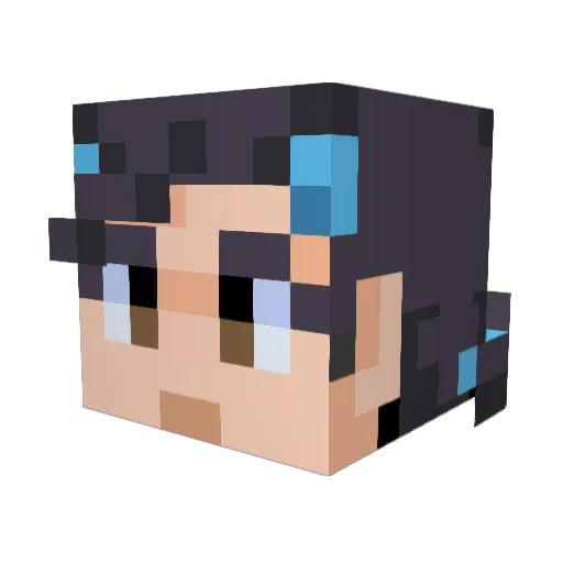 Thedragonsoul96 Minecraft avatar head, 3D render