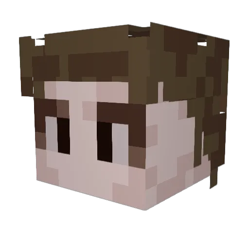 Theduckb Minecraft avatar head, 3D render