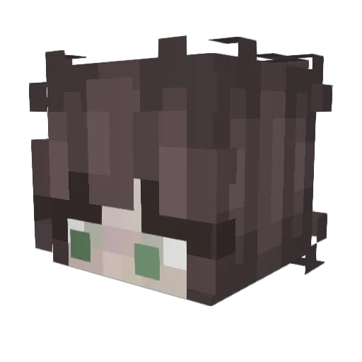 TheeBreh Minecraft avatar head, 3D render