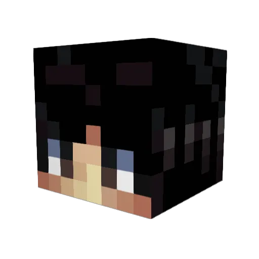 TheeDucky Minecraft avatar head, 3D render