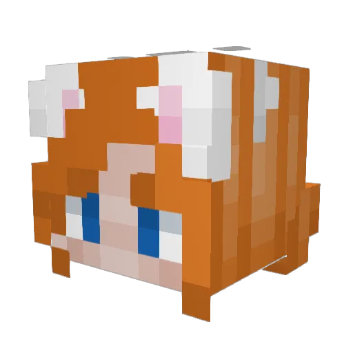 Thee_Whovian Minecraft avatar head, 3D render
