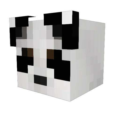 Theelusivepanda Minecraft avatar head, 3D render