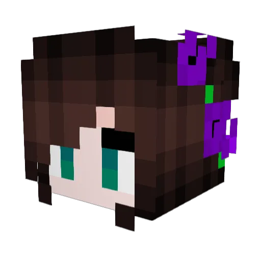 Theem343 Minecraft avatar head, 3D render
