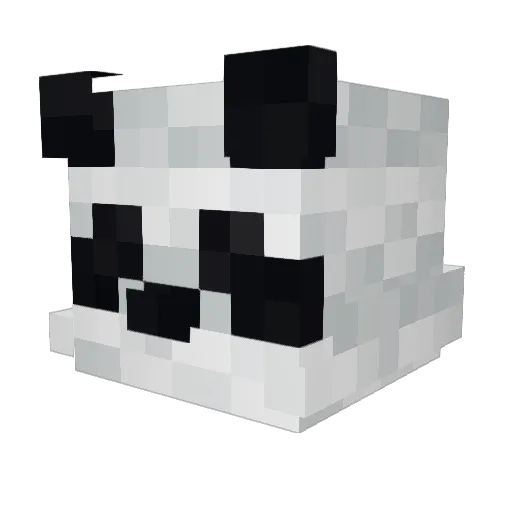 Thef19 Minecraft avatar head, 3D render