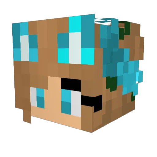 ThefakeHypixel8 Minecraft avatar head, 3D render