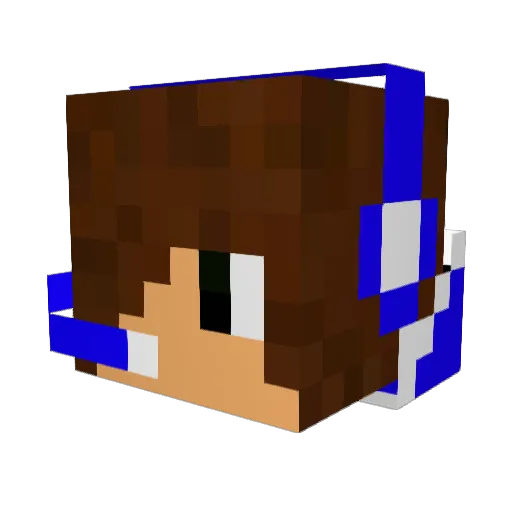 Thefastsmart Minecraft avatar head, 3D render