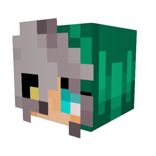 Thefluffyfluff Minecraft avatar head, 3D render