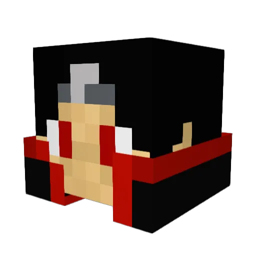 Theflydragon Minecraft avatar head, 3D render