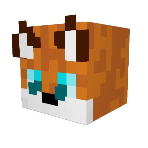 Thefoxboi Minecraft avatar head, 3D render