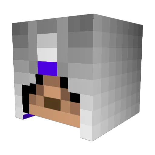 Thefurryplatypus Minecraft avatar head, 3D render