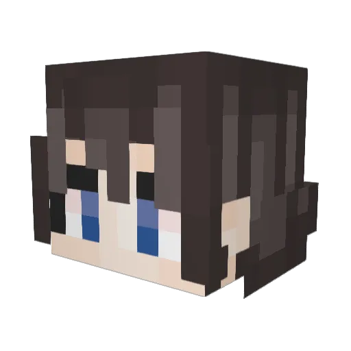 Thefuyao Minecraft avatar head, 3D render