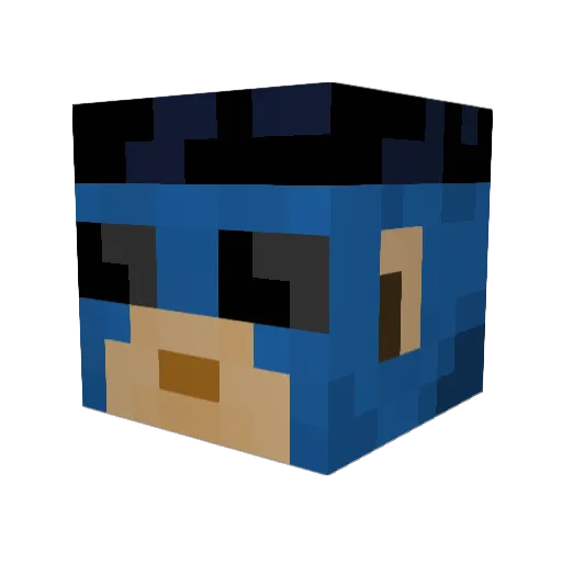 Thegameboy375 Minecraft avatar head, 3D render