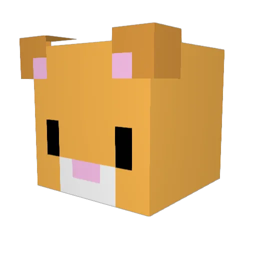 ThegamerE2970 Minecraft avatar head, 3D render